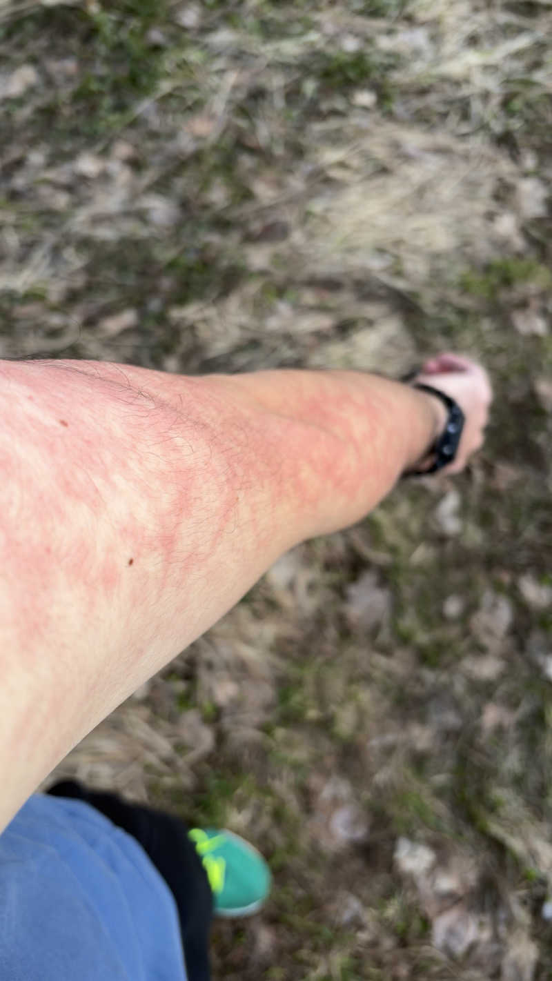 ∝さんの月見湯のサ活写真