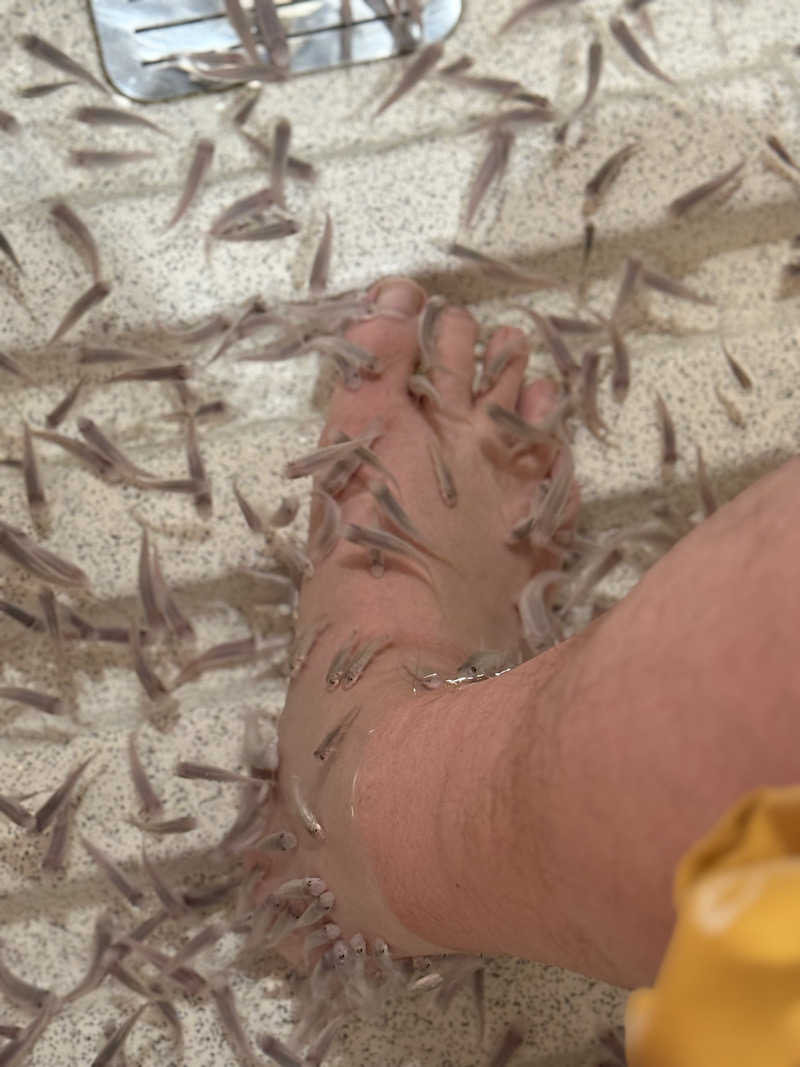 ちょんまげさんの有馬温泉 太閤の湯のサ活写真