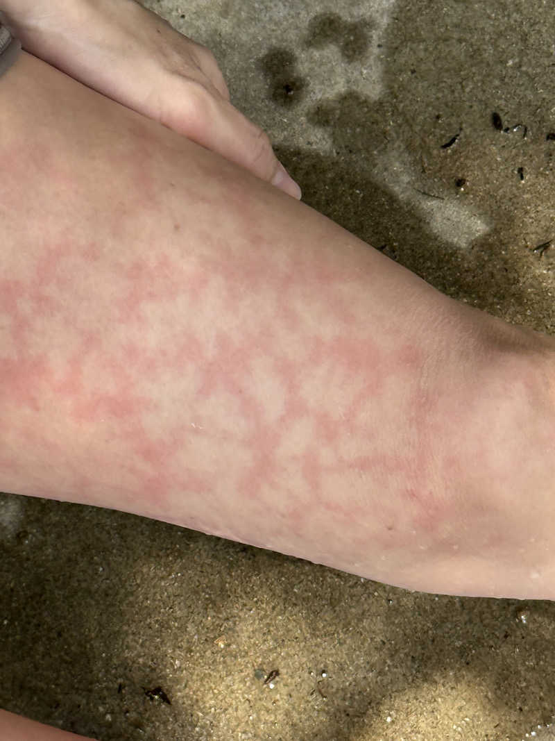 ちょんまげさんの二ノ丸温泉のサ活写真