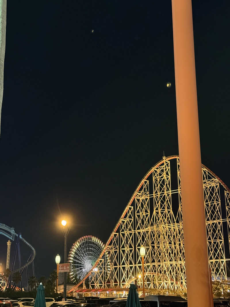 ちょんまげさんの長島温泉 湯あみの島のサ活写真