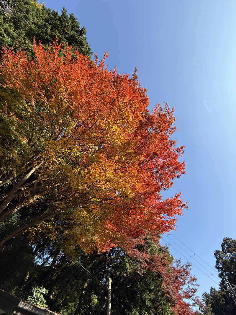 ちょんまげさんの濱の湯のサ活写真