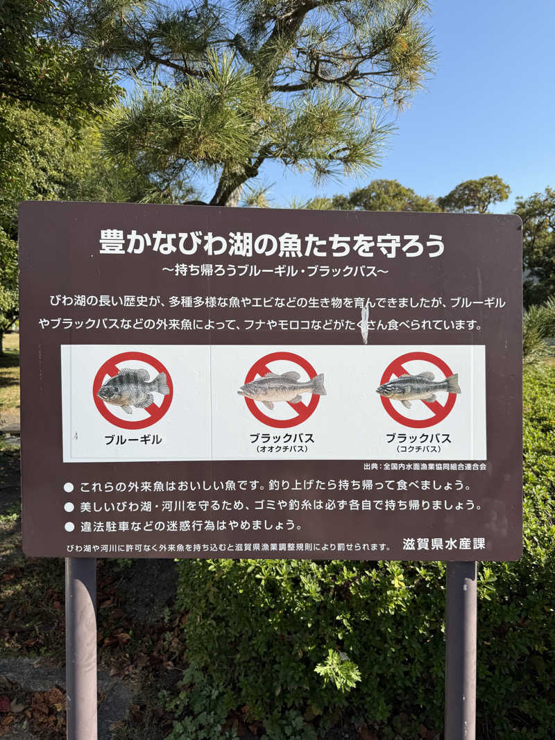 ちょんまげさんの濱の湯のサ活写真