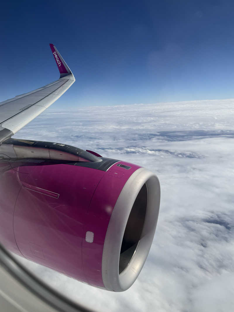 ちょんまげさんの煙波大飯店台南館のサ活写真