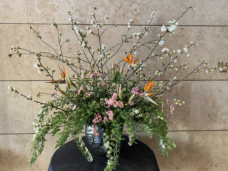 homlaさんのトーセイホテル ココネ築地銀座プレミアのサ活写真