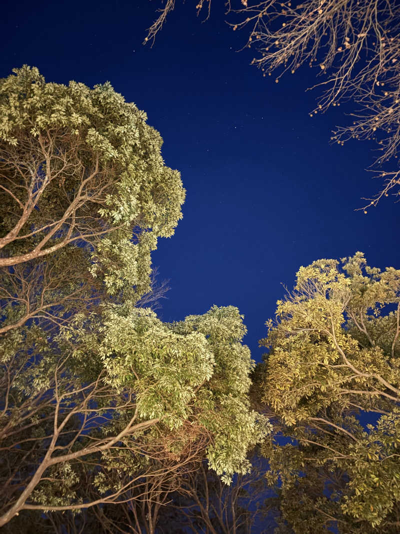 なつこさんの鹿とサウナのサ活写真