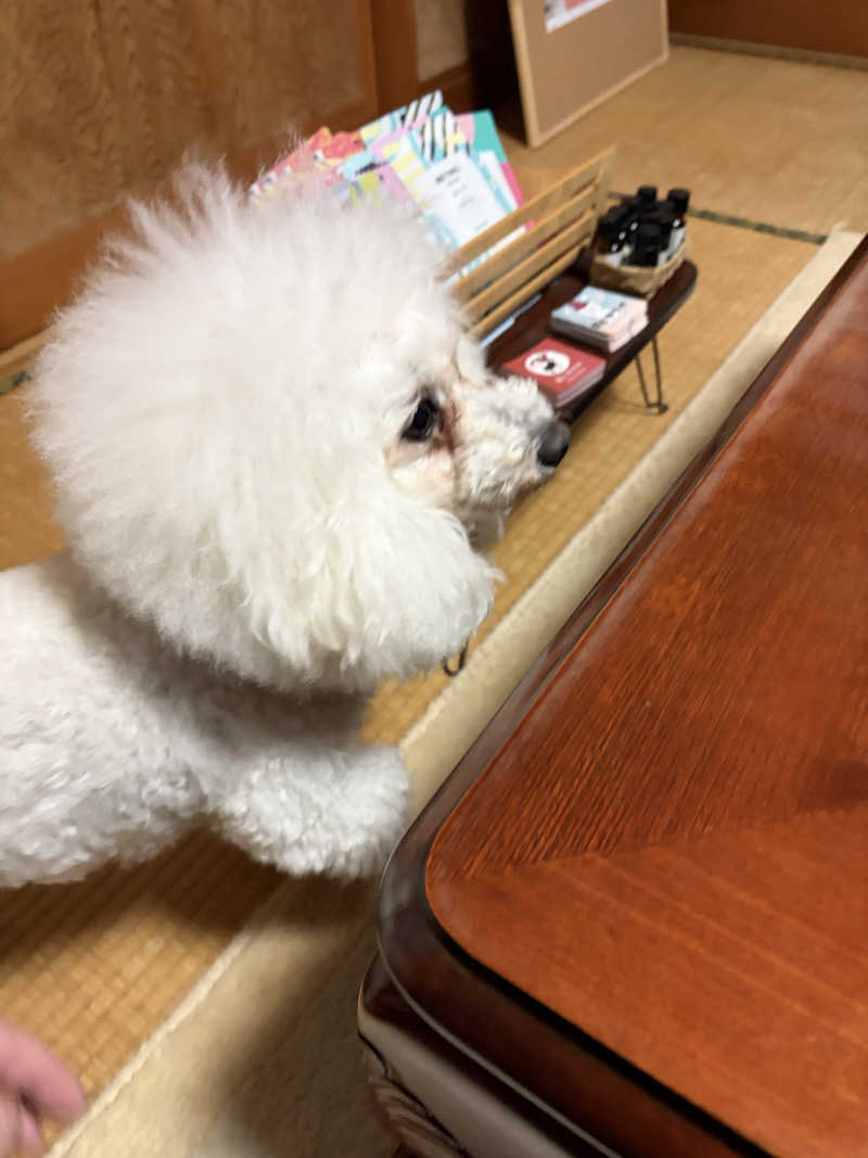 なつこさんの鹿とサウナのサ活写真