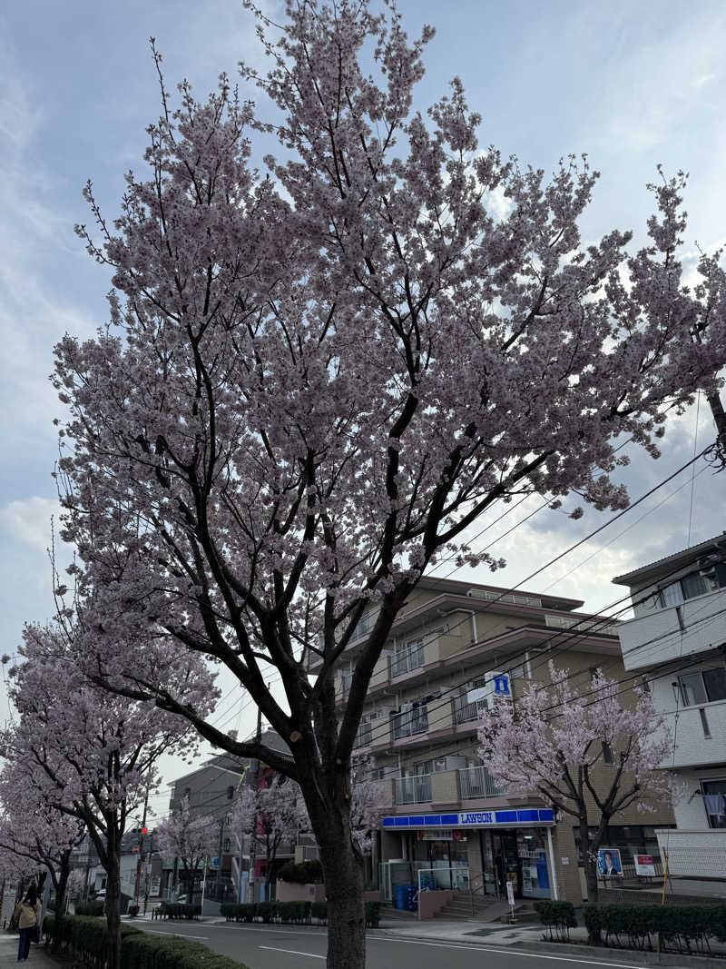 fumiさんのライオンサウナ新橋 (レンブラントキャビン&スパ新橋内)のサ活写真