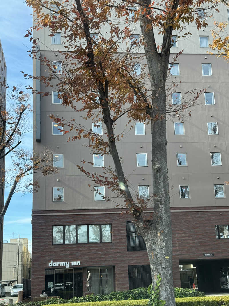 fumiさんの妙義の湯 ドーミーイン前橋のサ活写真