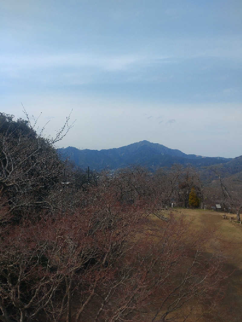 yokoyuさんの湯の泉 東名厚木健康センターのサ活写真