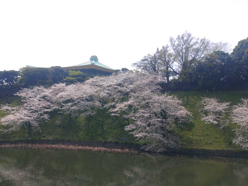 yokoyuさんのメガロス綱島のサ活写真