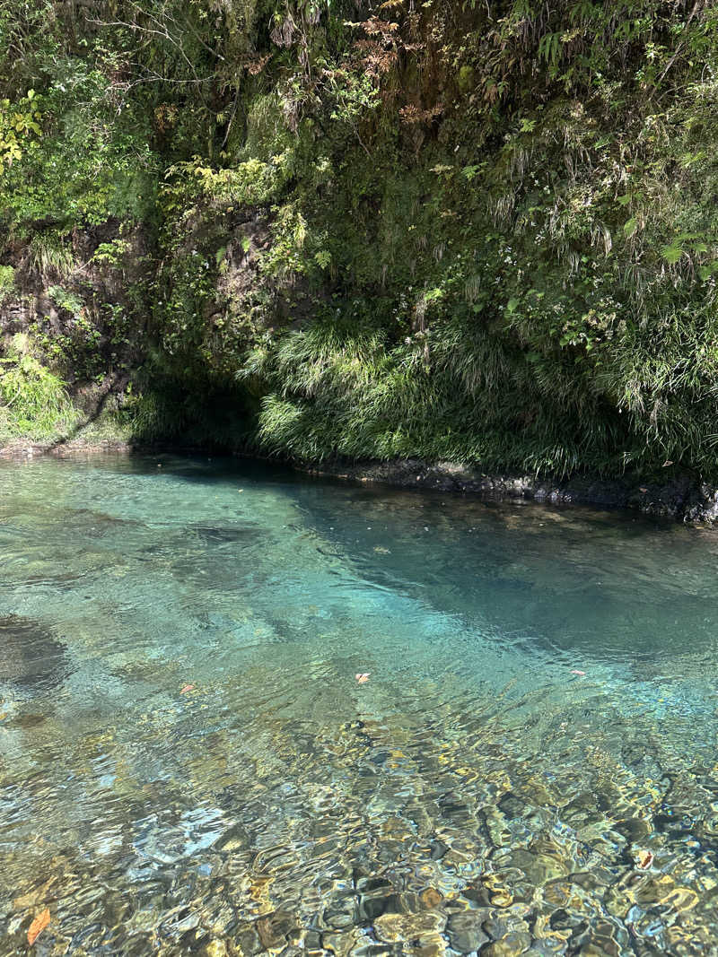 森のくまさんさんのKanzaki Sanga Saunaのサ活写真