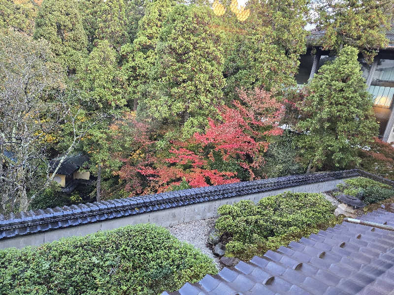 いけださんの森の栖 リゾート&スパのサ活写真