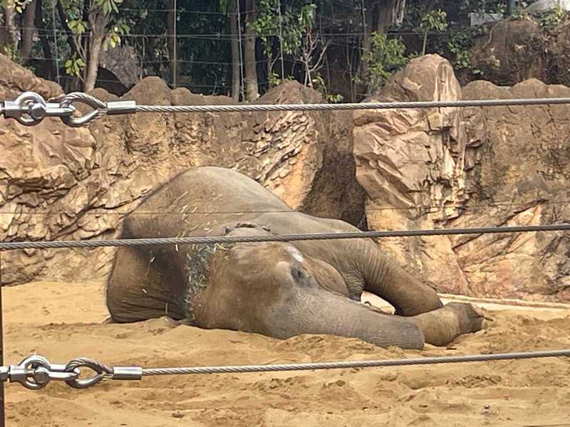 みーちん٩( 'ω' )وさんのひだまりの泉 萩の湯のサ活写真