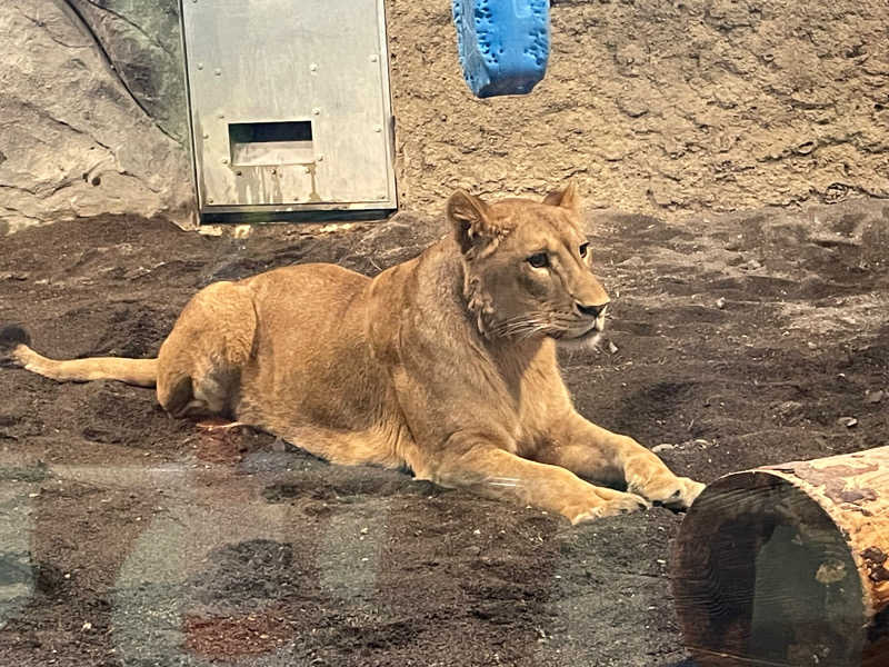 みーちん٩( 'ω' )وさんのえにわ温泉ほのかのサ活写真