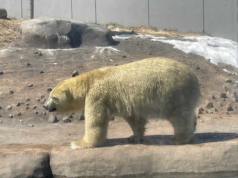 みーちん٩( 'ω' )وさんのえにわ温泉ほのかのサ活写真