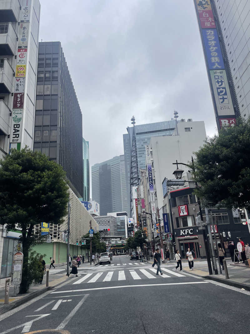 みーちん＼\\٩( 'ω' )و //／さんのライオンサウナ新橋 (レンブラントキャビン&スパ新橋内)のサ活写真