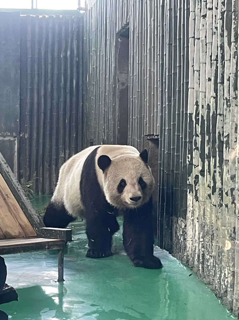 みーちん٩( 'ω' )وさんの浅深曹楊店のサ活写真