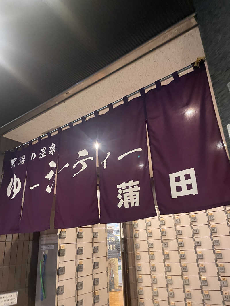 みーちん٩( 'ω' )وさんの黒湯の温泉 ゆ〜シティー蒲田のサ活写真