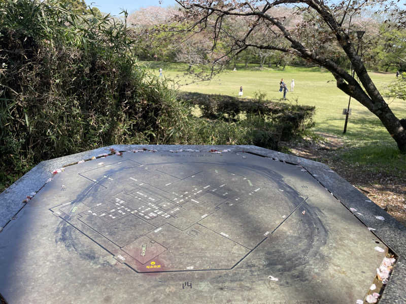 みーちん٩( 'ω' )وさんの東京湯楽城のサ活写真