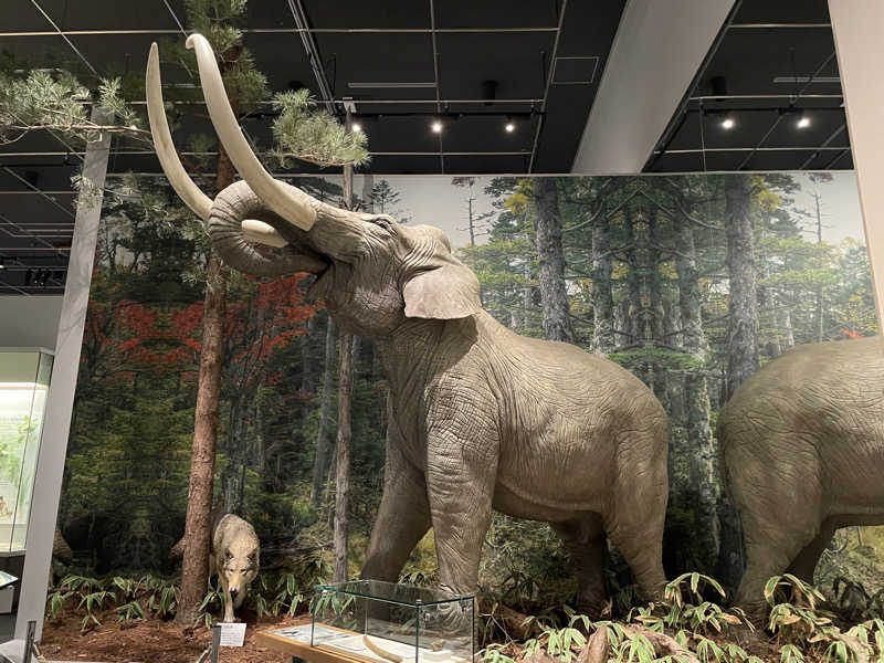 みーちん٩( 'ω' )وさんの東京湯楽城のサ活写真