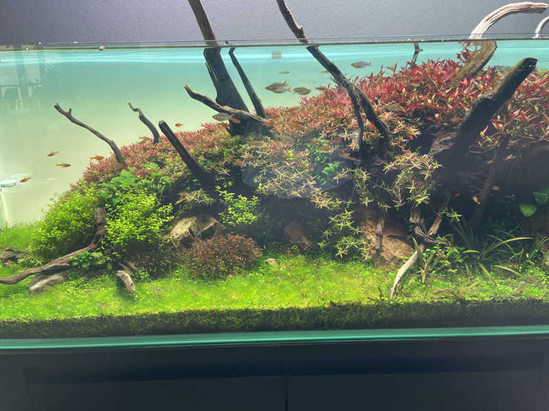 みーちん٩( 'ω' )وさんのSAUNA煌ｰKOUｰのサ活写真