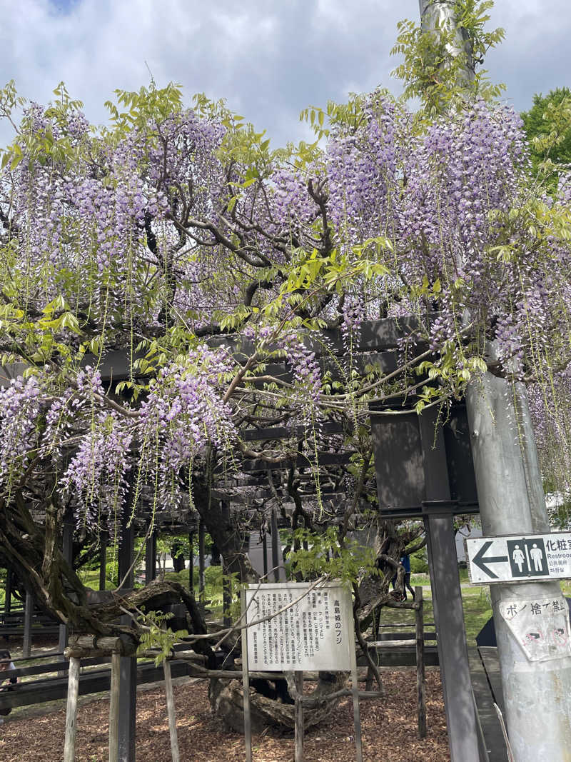 みーちん٩( 'ω' )وさんのみはらしの湯のサ活写真