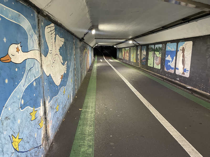 みーちん٩( 'ω' )وさんの黒湯の温泉 ゆ〜シティー蒲田のサ活写真