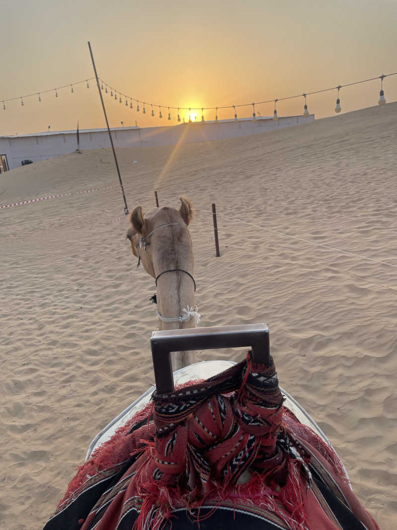 みーちん٩( 'ω' )وさんのHilton Garden Inn Dubai Business Bayのサ活写真