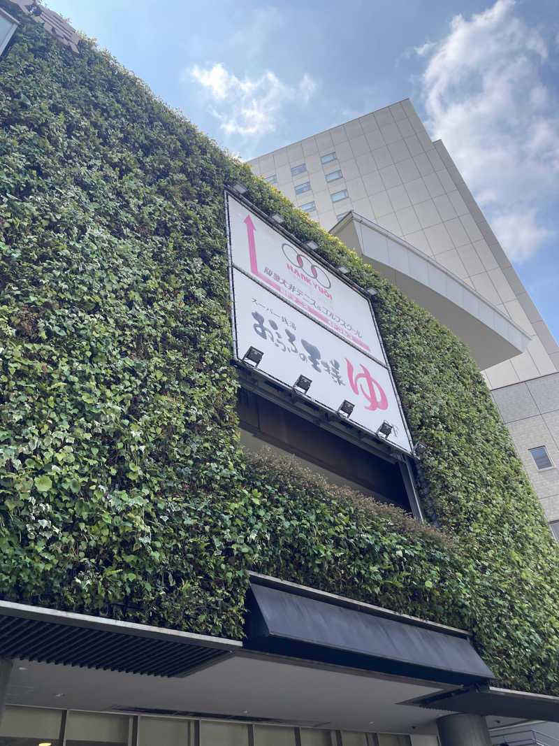 みーちん٩( 'ω' )وさんのおふろの王様 大井町店のサ活写真