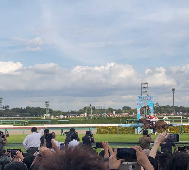みーちん٩( 'ω' )وさんの調布弁天湯のサ活写真