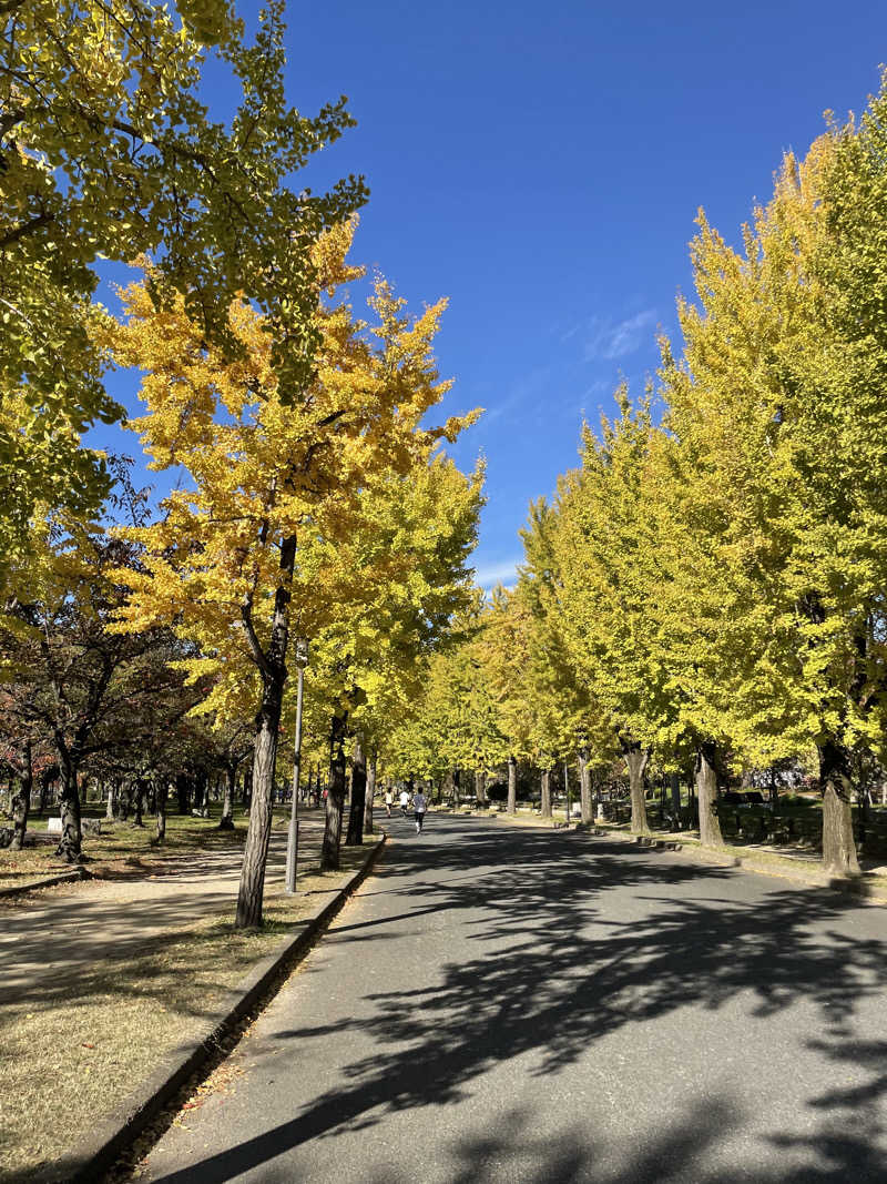 みーちん٩( 'ω' )وさんのなにわ健康ランド 湯〜トピアのサ活写真