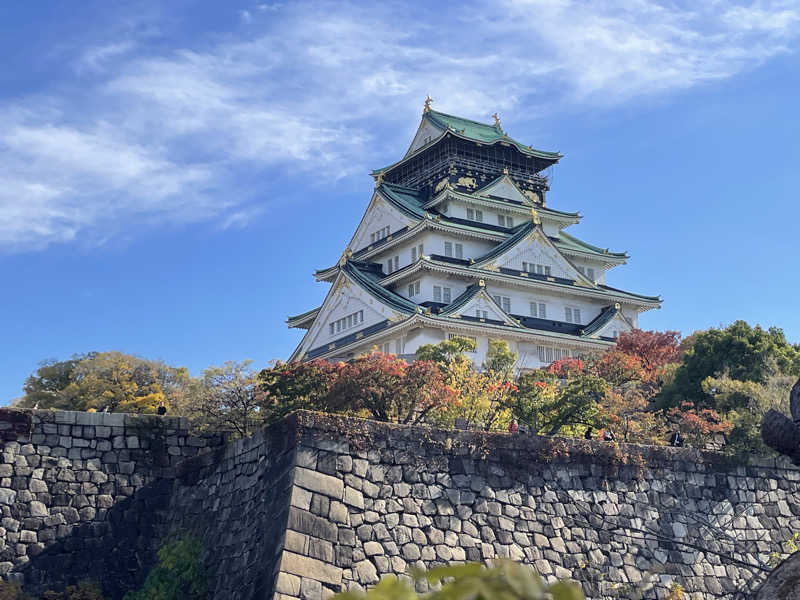みーちん٩( 'ω' )وさんのなにわ健康ランド 湯〜トピアのサ活写真