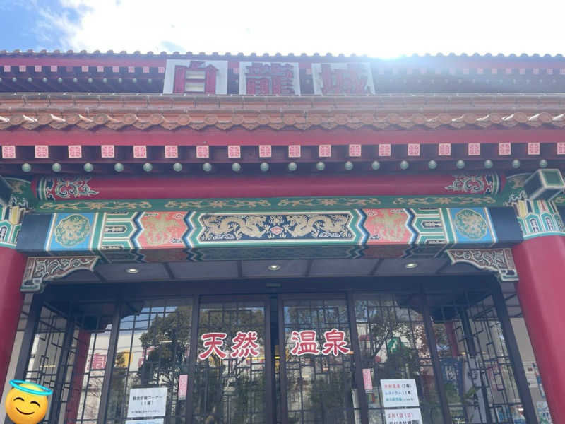 みーちん٩( 'ω' )وさんの白龍城 ペーロン温泉のサ活写真