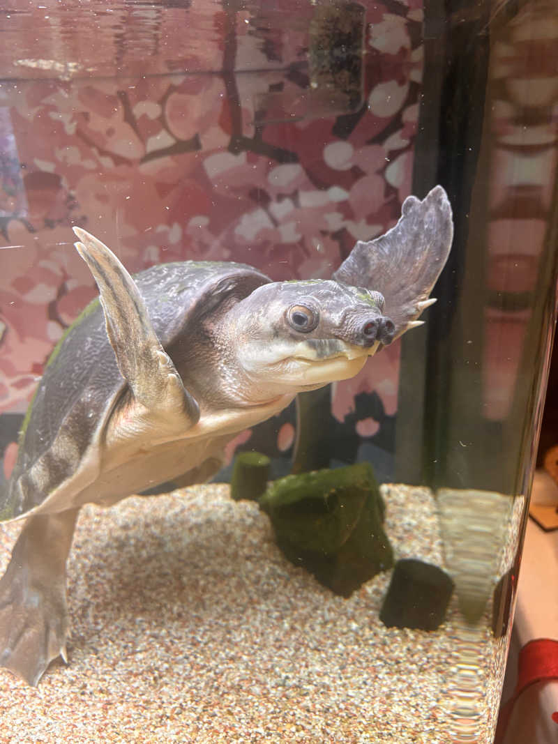 とさんの松本湯のサ活写真