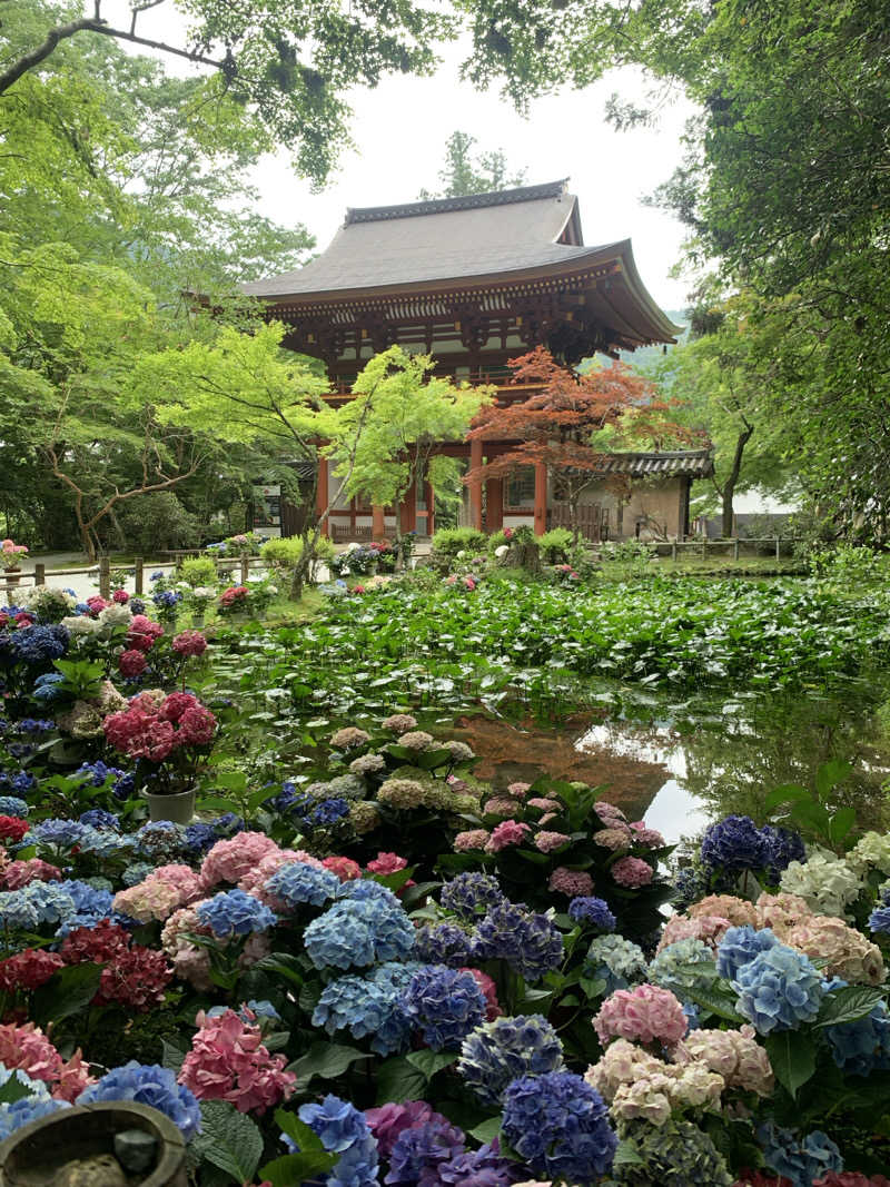 namiさんの大宇陀温泉あきののゆのサ活写真