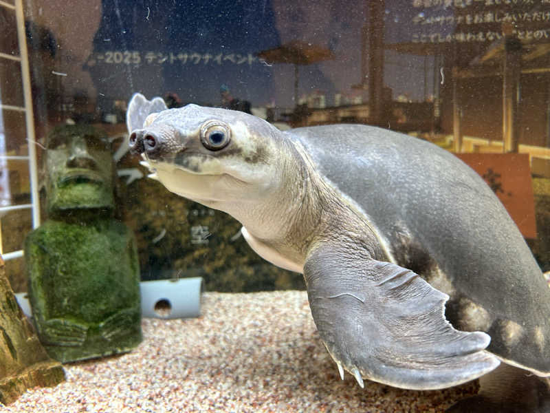 △さんさんの松本湯のサ活写真