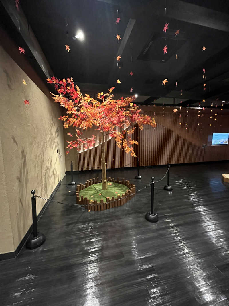 サさんの木の花の湯(HOTEL CLAD)のサ活写真