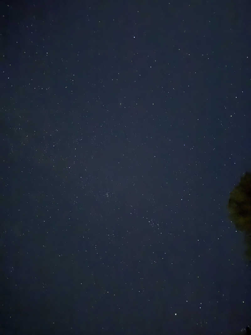 おにくちゃんさんのもりのいずみ (時之栖 もりのくに)のサ活写真