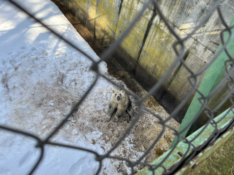 ameさんの中泊町総合福祉健康センター 湯らぱーくのサ活写真