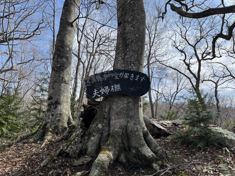 ameさんのつがる市車力ウェルネスセンター しゃりき温泉のサ活写真
