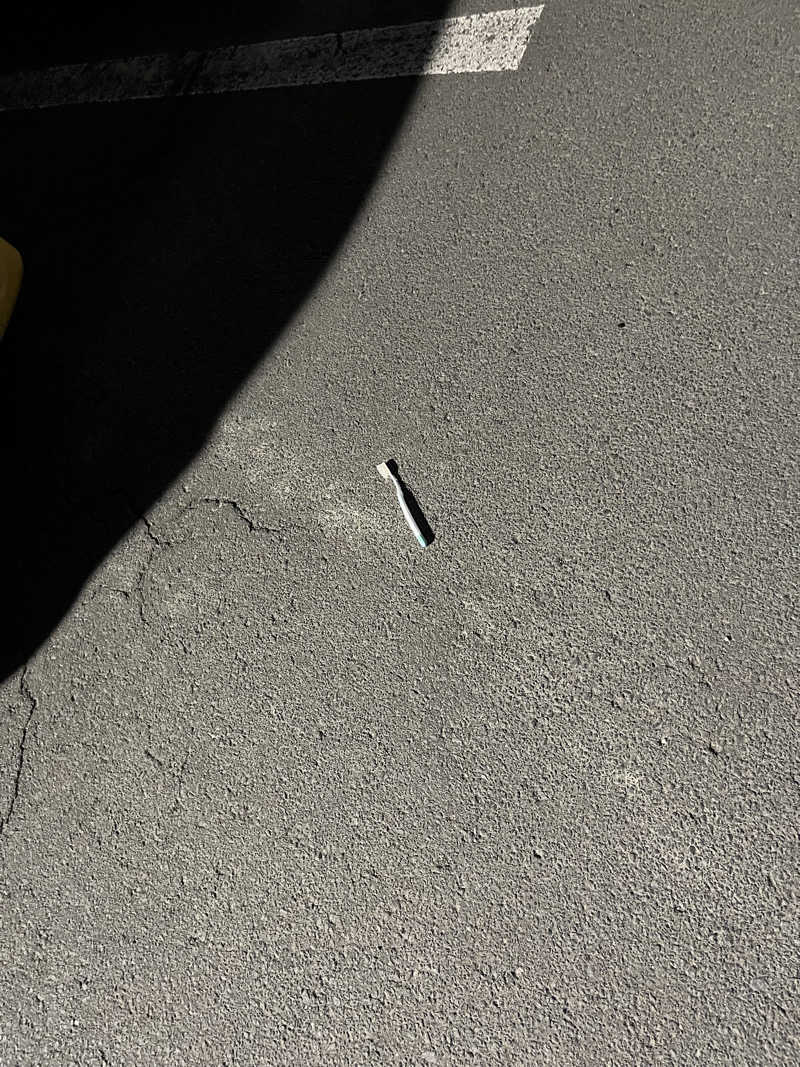 ameさんの大坊温泉のサ活写真