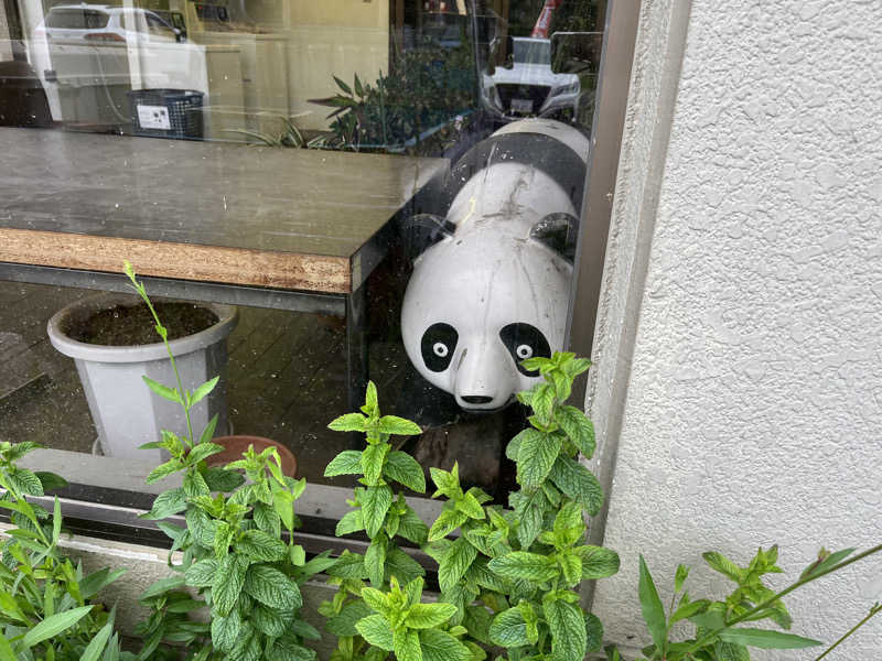 ameさんの石神温泉のサ活写真