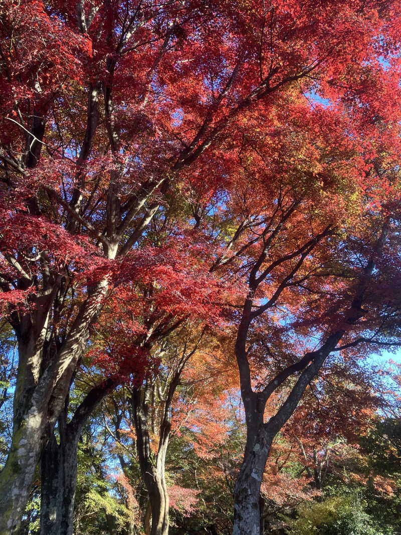 tasauraさんの京王高尾山温泉 極楽湯のサ活写真