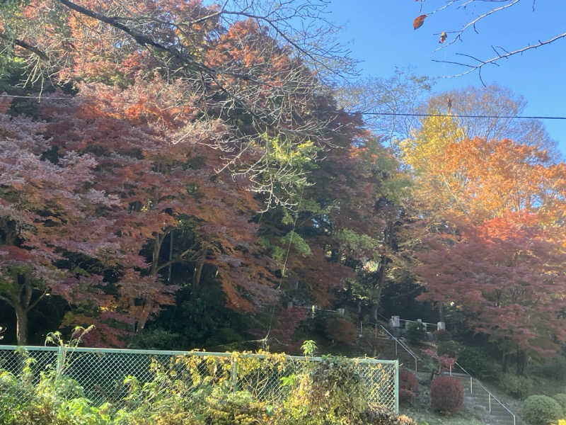 tasauraさんの京王高尾山温泉 極楽湯のサ活写真