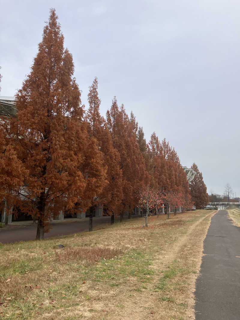 tasauraさんの天然温泉 杜都の湯 御宿 野乃仙台のサ活写真