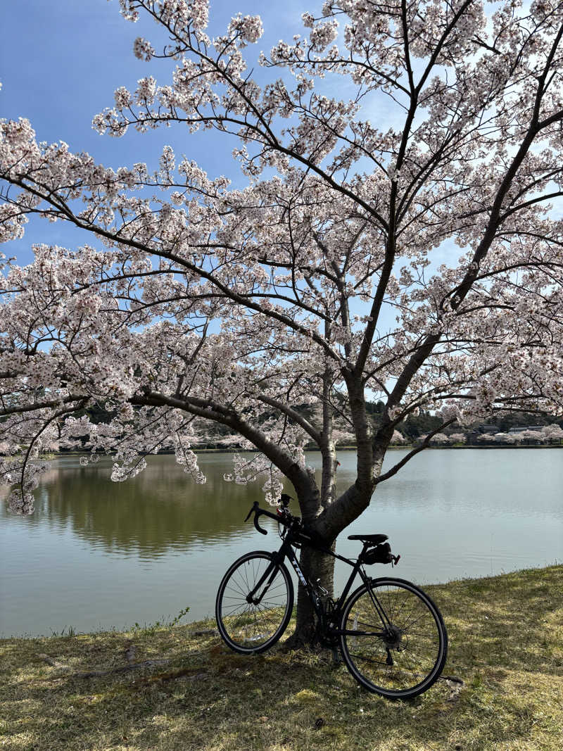 t@k.camさんの金浦温泉・学校の栖のサ活写真