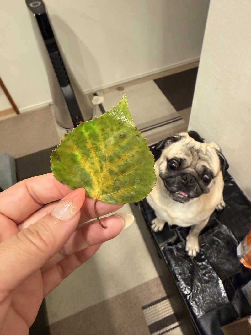 ダンちゃんさんの潮芦屋温泉SPA水春のサ活写真