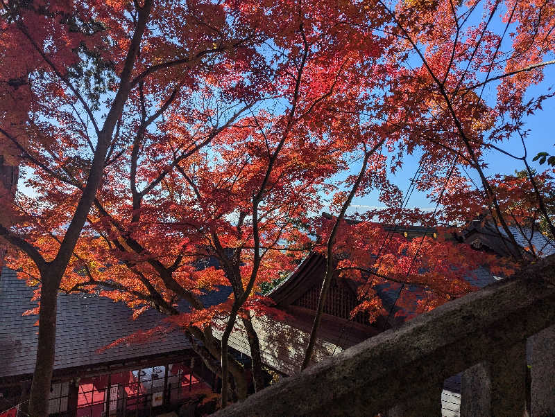 ビギナーたつおさんの長命寺温泉 天葉の湯のサ活写真