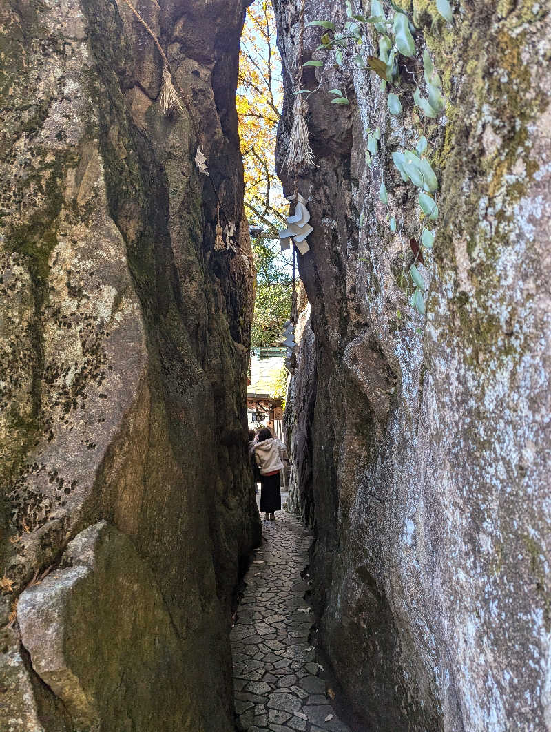 ビギナーたつおさんの長命寺温泉 天葉の湯のサ活写真