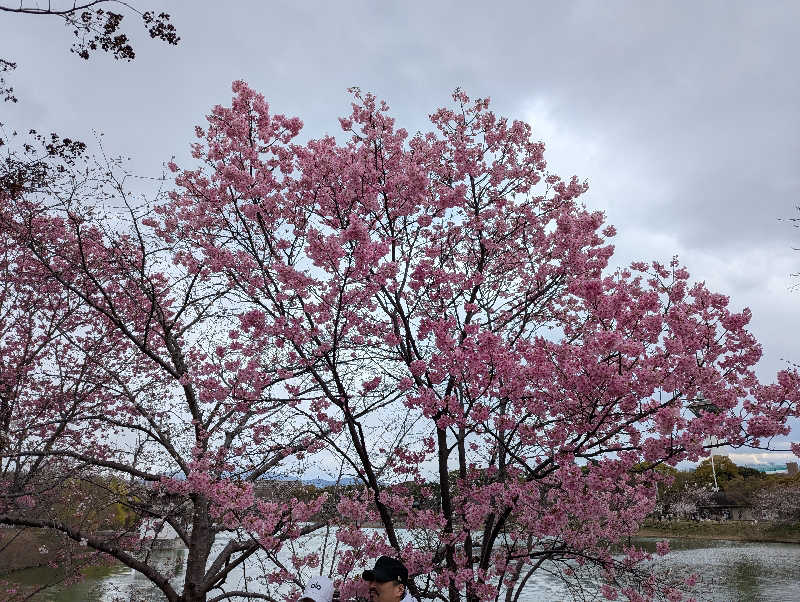 ビギナーたつおさんの八尾グランドホテルのサ活写真